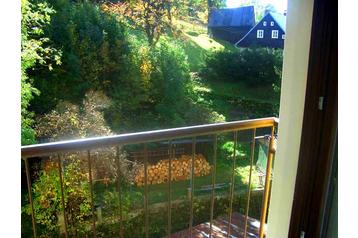 Сімейний пансіонат Rokytnice nad Jizerou 5